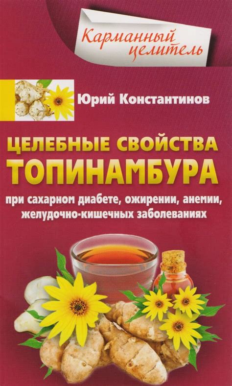 Альтернативы лечения желудочно-кишечных расстройств с использованием природных продуктов