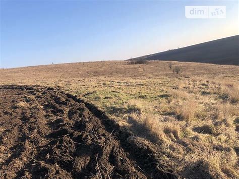 Аренда земли для малого сельскохозяйственного предприятия: путь к успешному оформлению