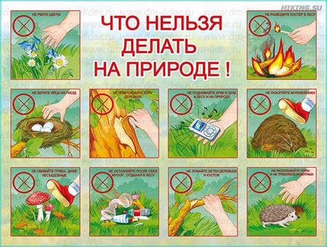 Безопасное ловение змей с помощью специализированного оборудования