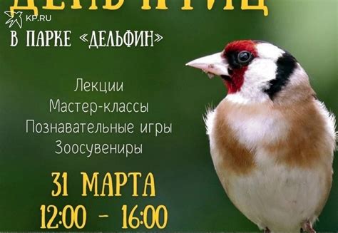 Важность профилактических мер для здоровья пернатых обитателей