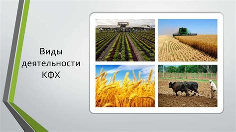 Виды деятельности, разрешенные на землях КФХ