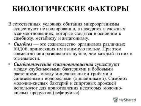 Влияние внешних факторов: