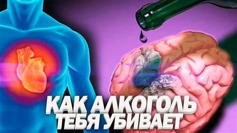 Влияние воздействия сухого алкоголя на процесс снижения веса по методике диеты Дюкана