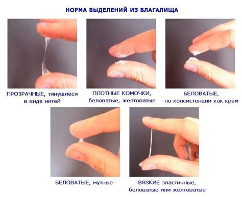 Влияние глотания женских выделений