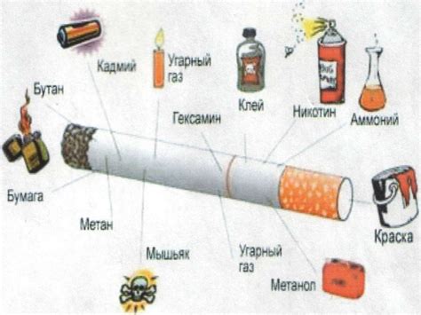 Влияние кастрации на организм