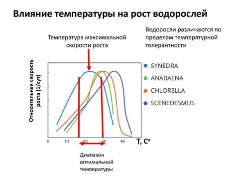 Влияние низких температур на структуру шампуня