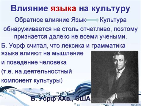 Влияние пословицы на повседневность и культуру