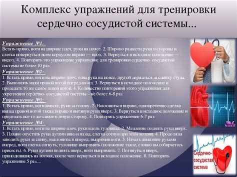 Влияние применения Вальсакора и Конкора на работу сердечно-сосудистой системы