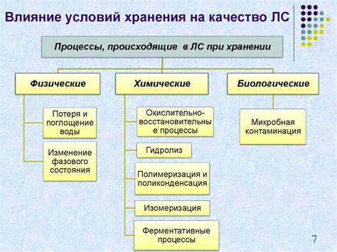 Влияние условий хранения на сохранение качеств шампуня