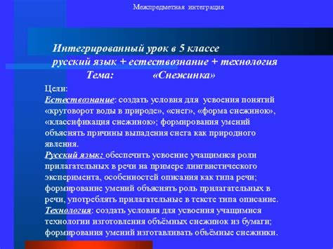 Воздействие явления лингвистического на русский язык