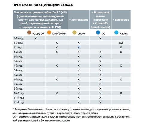 Возможность проведения вакцинации у собак при обнаружении экстенсивного числа паразитов