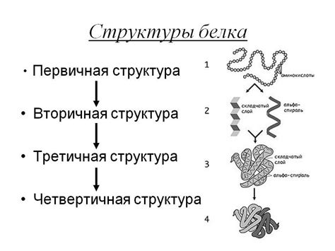 Возможные взаимодействия между амелотексом и комбилипеном