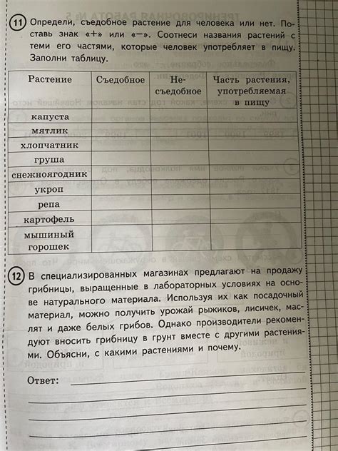В специализированных магазинах