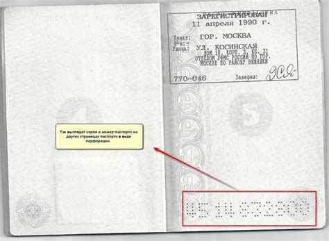 Где можно найти дату рождения через ИНН