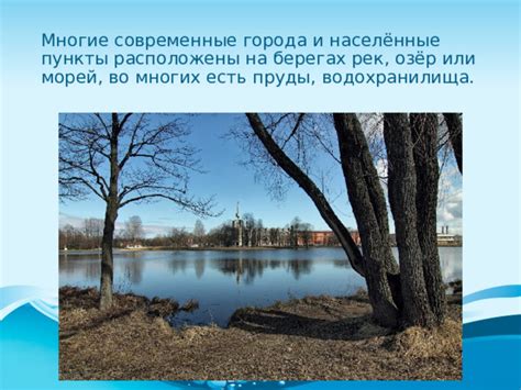 Где расположены штрафные пруды