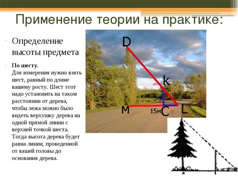 Изучение возможных способов увеличения высоты