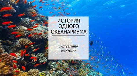 История использования примет