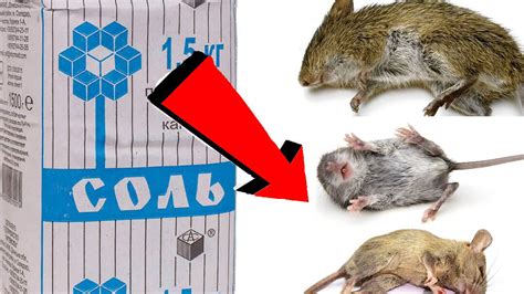 Как быстро избавиться от эскизов