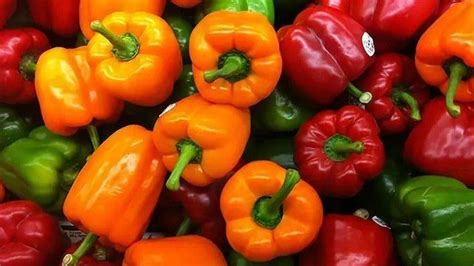 Как выбрать подходящий перец