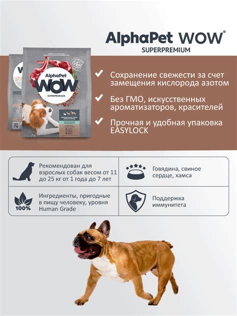 Как подобрать наиболее подходящий комплекс витаминов для вашей кошки
