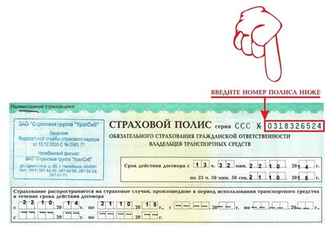 Как проверить чип собаки по номеру в базе данных