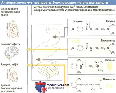 Механизмы действия нефротоксичных препаратов