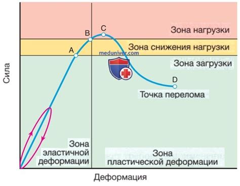 Микрофибра: происхождение и уникальные характеристики
