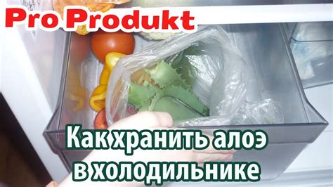 Оптимальный режим температуры для сохранения свойств геля алоэ в холодильнике