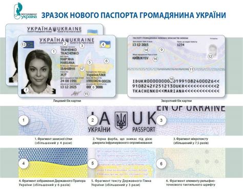 Официальные источники для проверки данных в паспорте
