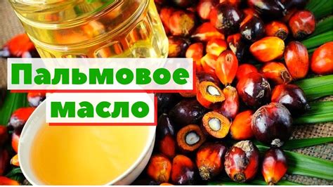 Пальмовое масло в Простоквашино