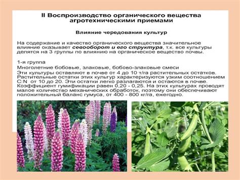 Поддержание почвы