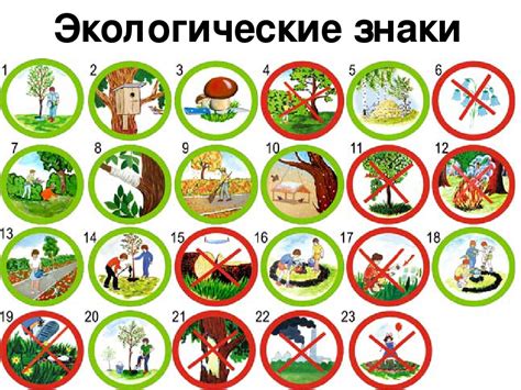 Правила безопасности при наличии доброжелательного существа в окружающей среде