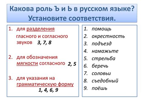 Правила расстановки твердого знака в словах