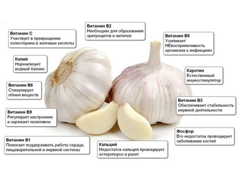 Преимущества чеснока для горла и способы его применения