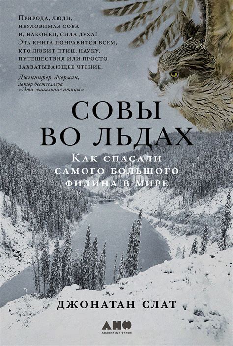 Прикрытая пелена: поиск сокровищ во льдах Севера