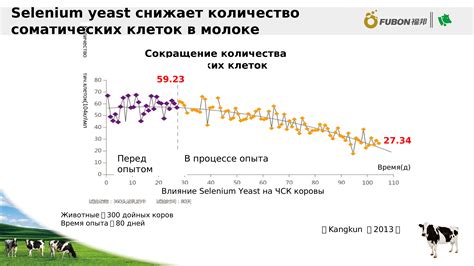 Применение просроченных дрожжей