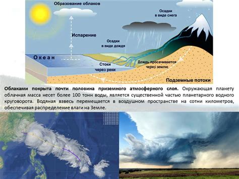 Причины образования и последствия возникновения грибкового нарастания на соломе