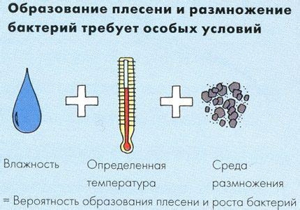 Причины образования плесени в сене для коров
