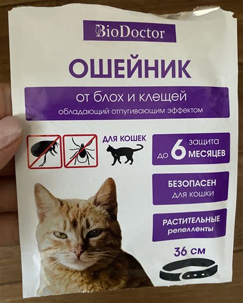 Различные препараты против блох и их взаимосвязь с вакцинациями