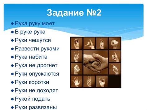 Региональные варианты и различия данной поговорки