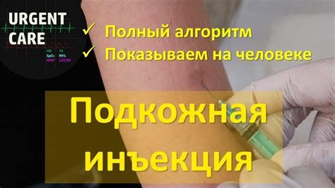 Рекомендации ветеринаров по выбору места инъекции