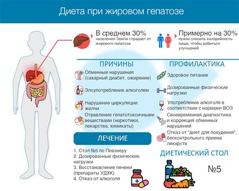 Роль тюбажа в лечении жирового гепатоза: основные принципы и механизмы действия