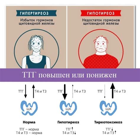 Сезонные флуктуации ТТГ: природные тревоги щитовидной железы в разные времена года
