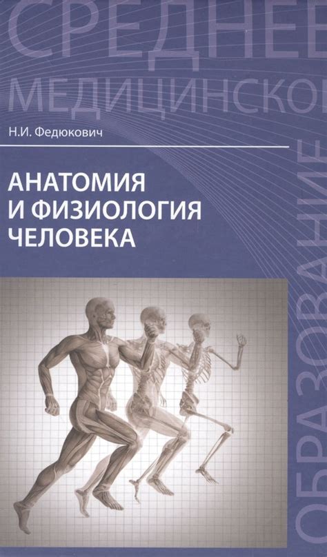 Сексуальная анатомия и физиология