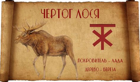 Символика и значение рогов лося в разных культурах