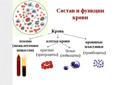 Состав компонентов энтерола и энтеросгеля