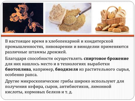 Сочетание дрожжей в виноделии и хлебопекарстве