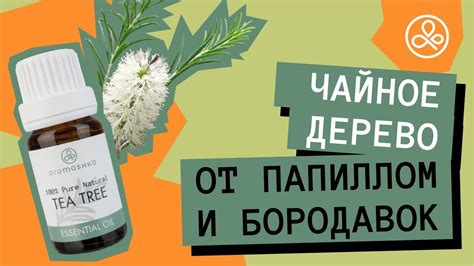 Срочные действия при случайном проглатывании масла чайного дерева