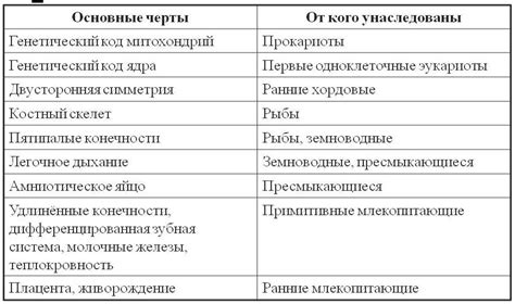 Сходства и отличия "Тени и Кости" с другими произведениями: