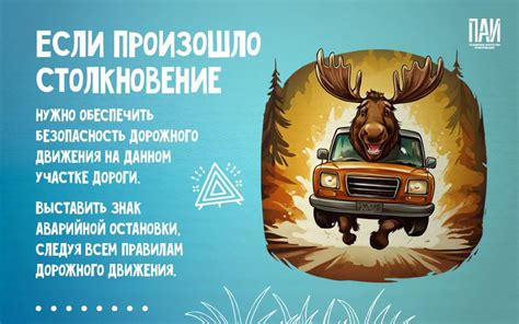 С лосем на дороге